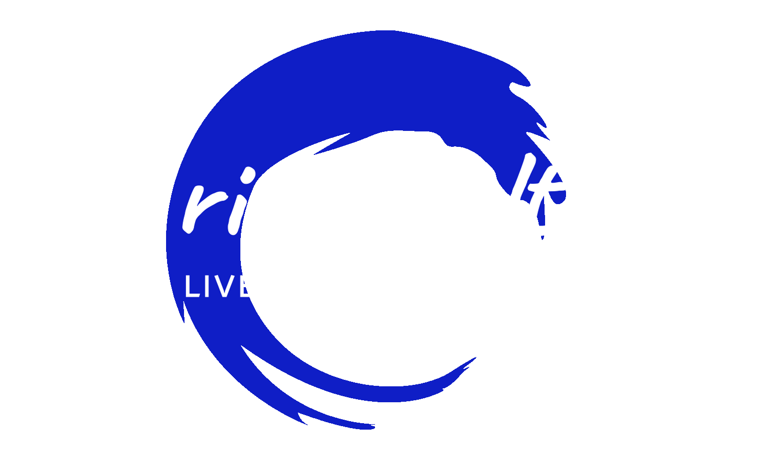 Logo N